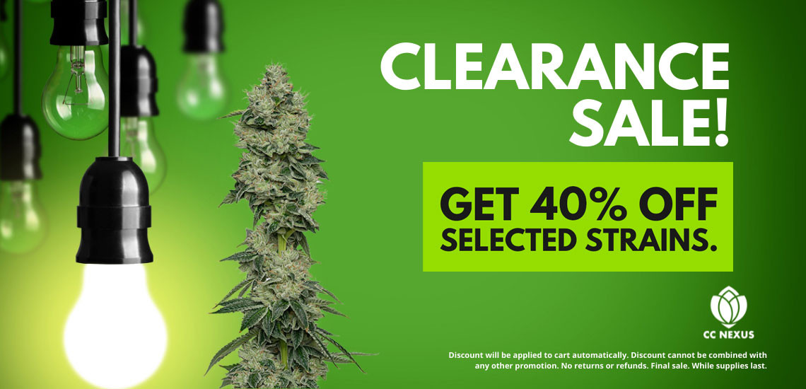 Clearance - 40% OFF Cannabis Seeds