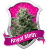 Royal Moby Feminized Seeds (Royal Queen Seeds)
