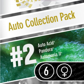 AUTO Collection pack #2 FEMINIZED Seeds (Paradise Seeds)