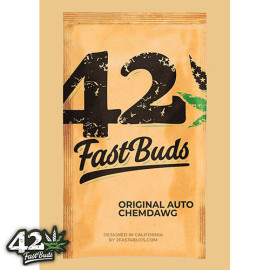 Original Auto Chemdawg Feminized Seeds (FastBuds)