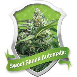 Sweet Skunk Automatic Feminized Seeds (Royal Queen Seeds) - CLEARANCE