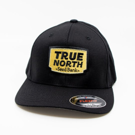 Flexfit Hat (True North Seed Bank) - Black