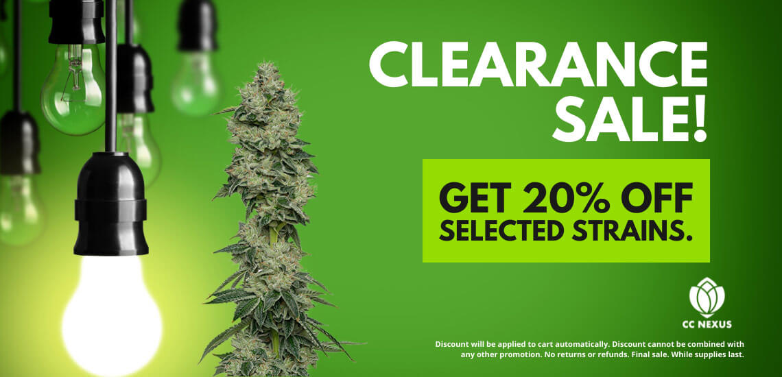 Clearance - 20% OFF