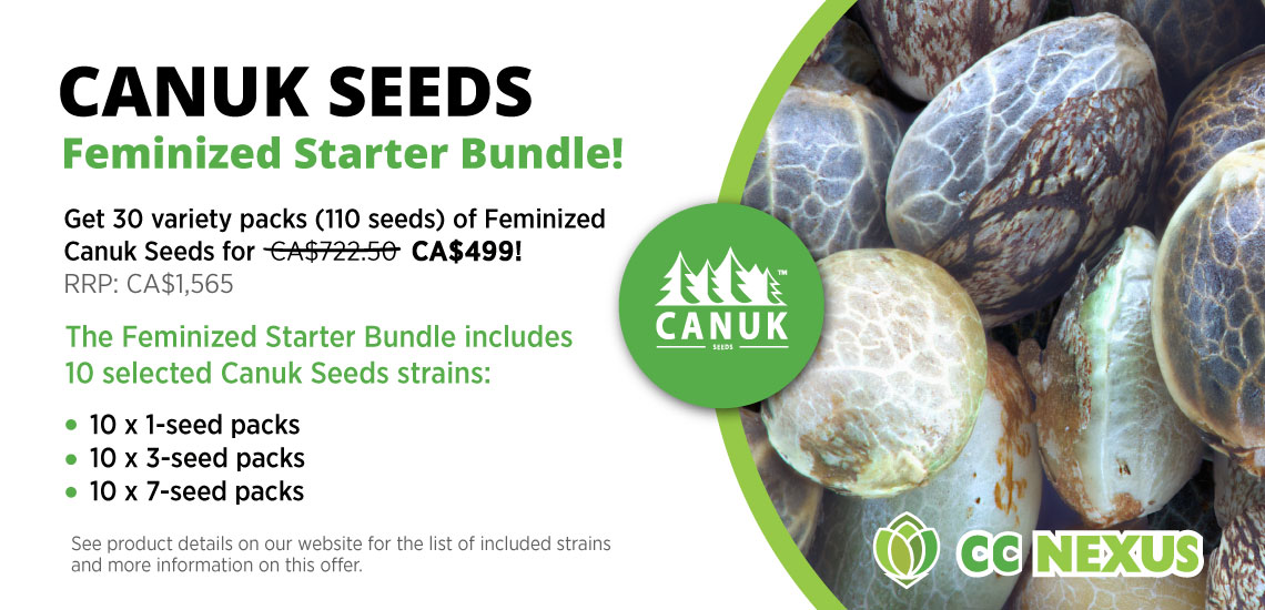 Canuk Seeds Feminized Started Bundle